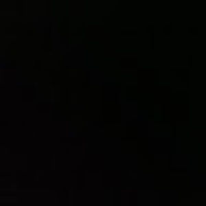 Meet your Posher, Pedro